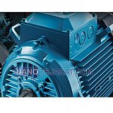 Electromotor Electromotor